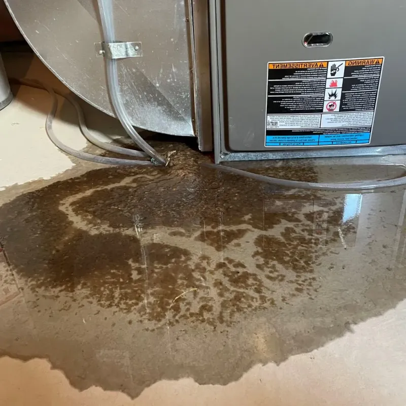 Pipe Burst and Leak Restoration in Selby, SD